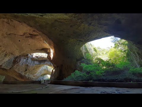 Video: Yosh Droning boyligi: Wiki, turmush qurgan, oila, to'y, maosh, birodarlar