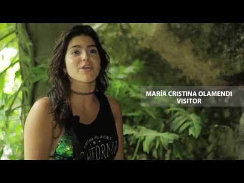 MARÍA CRISTINA OLAMENDI - Hearing with all your senses | Sensorial Theme Park in Cancun, México