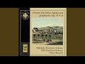 Miniature de la vidéo de la chanson Serenade For String Orchestra, Op. 11: Preludium