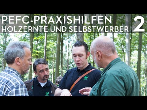 Holzernte und Selbstwerber