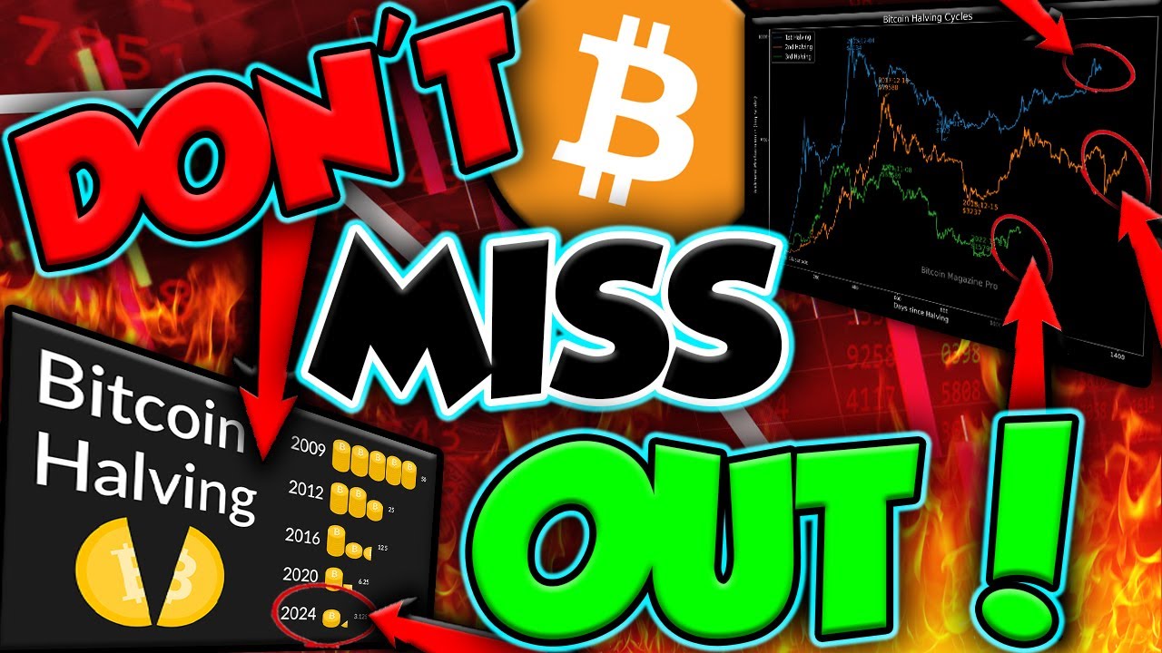 This Crypto Bull Run Will Be The Biggest One EVER 🚀💰 - YouTube