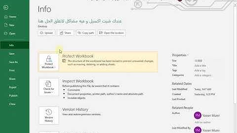 اقوى فيديو يحتوى على كل انواع طرق الحمايه فى الاكسيل