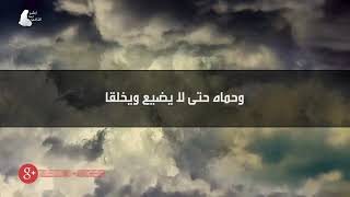 نغمه ماهر زين الله معنا 2017   YouTube