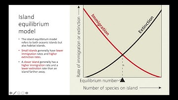 Island Equilibrium Model
