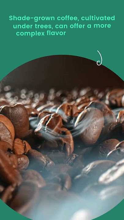 Coffee Beans - Shade-Grown Coffee