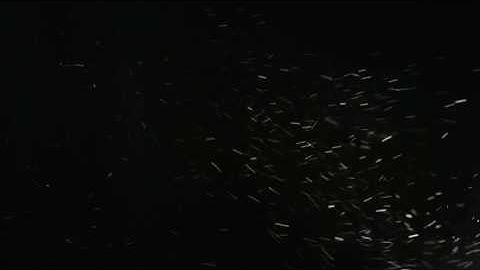 Snowstorm realistic cinematic dust particles free video effect, ProRes footage