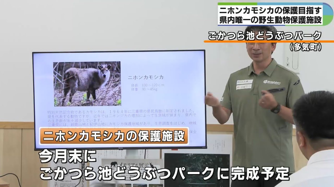 野生動物をもとめて: テレビ取材班とともに They must be out there somewhere Searching for Japanese