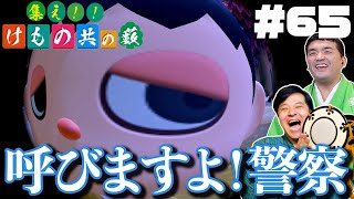 【あつ森#65】アプデ後の新しいカメラ機能がすごすぎる！【あつまれどうぶつの森】