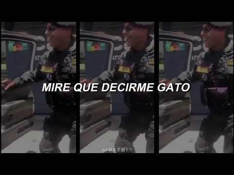 Los Guaracheros del oriente - Compay gato || Letra