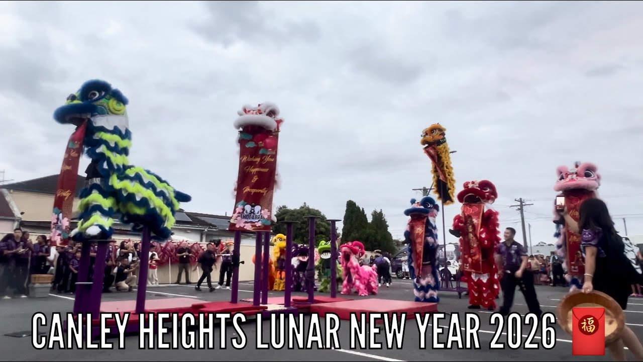 Canley Heights Lunar New Year * Firecrackers!  🧧 🐴 🧨 