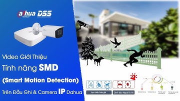 DSS_097 Video Giới Thiệu Tính Năng SMD (Smart Motion Detection) Trên Đầu Ghi & Camera IP Dahua.