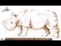 Breitmaulnashorn Sudan zeichnen🦏 Nashorn malen 🦏How to Draw a Rhino 🦏 как се рисува носорог
