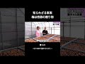 ⑥知られざる事実 梅は奇跡の贈り物 #nutsモデル #切り抜き #梅ギャル