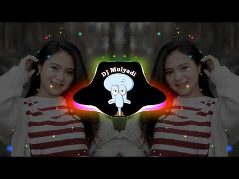 DJ BETA JANJI BETA JAGA X PERJAMBAN LAWAN GUA SINI VIRAL DI TIKTOK