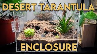 BIOACTIVE DESERT TERRARIUM for my HEAVY WEBBING tarantula | Monocentropus balfouri