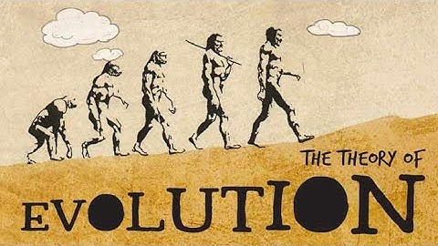 NCERT Removes Darwin