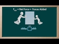 The Dynamics of Forces and Motion Explained Through Real-World Examples