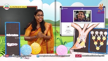 KITE VICTERS STD 02 Mathematics Class 22 (First Bell-ഫസ്റ്റ് ബെല്‍)