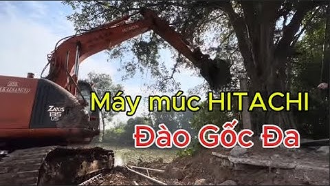 Máy xúc khổng lồ | máy múc cẩu | ô tô tải chở cát | xe công nông chế #mayxuc #máyxúc #excavator