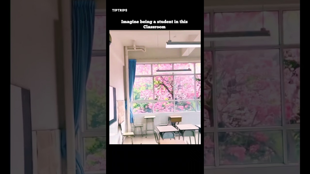 Cherry Blossom Classroom 🌸😮 | Can You Focus Here?
