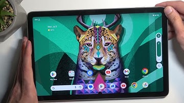 How to Capture & Find a Screenshot on GOOGLE Pixel Tablet