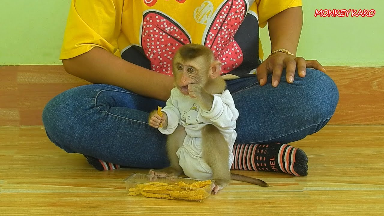 Cute Baby Luna Wear Clothes And Eat Cake