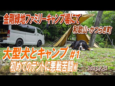 大型犬とキャンプ／初めてのテントに悪戦苦闘！暑さとの戦い、、ヒー！／大型犬散歩