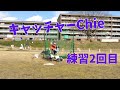 【女子野球】キャッチャーChieの練習2回目