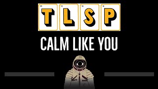 The Last Shadow Puppets • Calm Like You (CC) 🎤 [Karaoke] [Instrumental Lyrics] Resimi