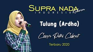 TULUNG (Ardha) || SUPRANADA || Cover. Putri Cebret || TERBARU 2020