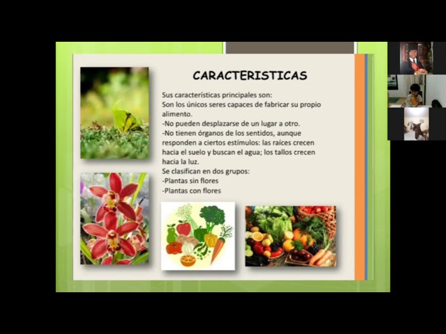 08/06/2020 Ciencias naturales Primero 1 Semana 16: el reino vegetal