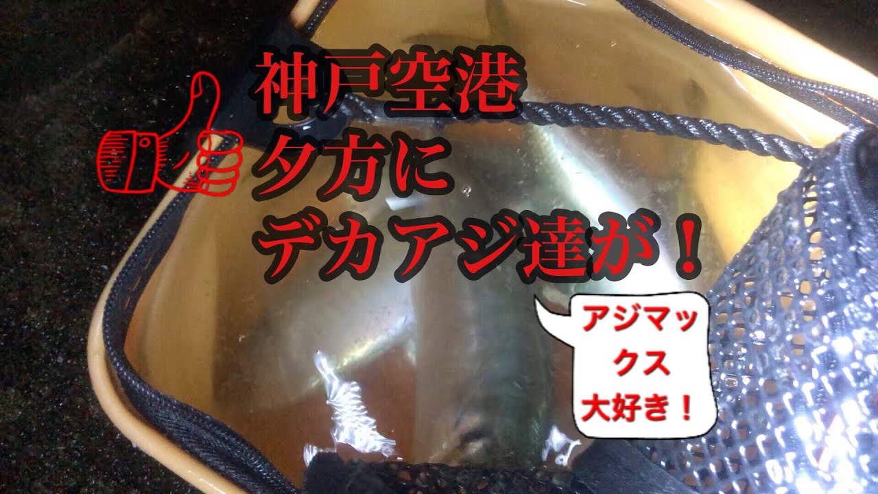 神戸空港日没後にデカアジ達 fishingmax神戸ハーバー店 Youtube 神戸空港日没後にデカアジ達 fishingmax神戸ハーバー店 Youtube