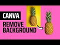 How to remove background in Canva (Pro or Free)