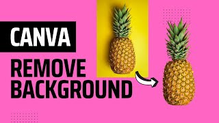 How to remove background in Canva (Pro or Free)