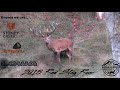 [2018 RED STAG ROAR]