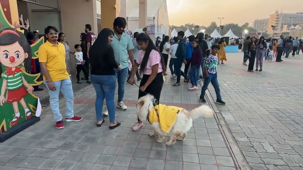 PETEX Dog show HITEX Hyderabad 