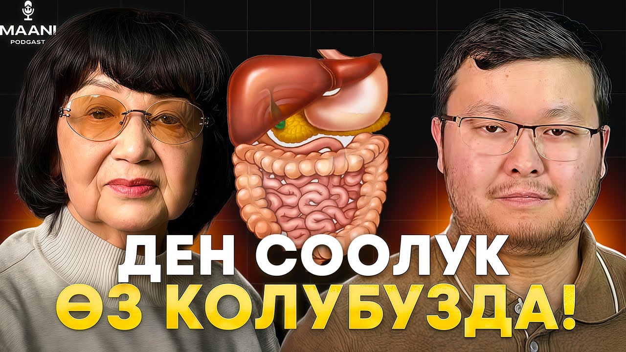 Организм кирдейт эмне үчүн ? Сосудтар, боор, мээ — толук түшүндүрмө | Маани Подкаст