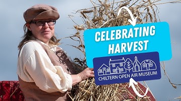 Harvest 2024 at Chiltern Open Air Museum. Inc. heavy horses and a vintage threshing machine.