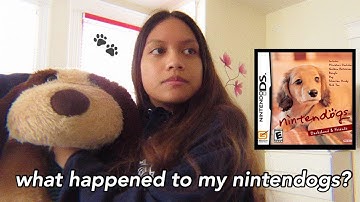 playing nintendogs after ten years