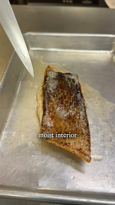 Inilah Alasan Kulit Ikan Anda Tidak Pernah Garing