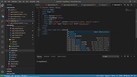Angular Project Http Service using  .Net Core WebApi Part 1(Net5.0)
