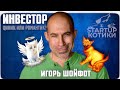 Венчурный инвестор - циник или романтик? //Игорь Шойфот | Стартап Котики