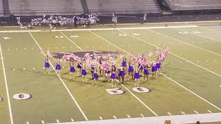 💜💛💜 LMS Drill Team 2018-2019💜💛💜
