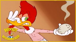 Woody Woodpecker Show Chicken Woody Full Episode Cartoons For Children