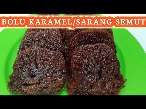 Video: Sarang Semut Dengan Aprikot