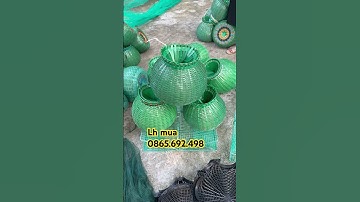 Giỏ đựng tôm cua cá nhựa pv cao cấp