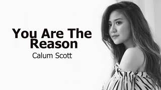 Download Lagu You Are The Reasen MP3 You Are The Reasen