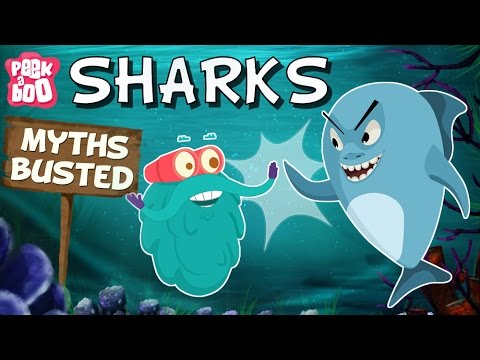 शार्क - मिथकों का भंडाफोड़ | डॉ. बिनोक्स शो | बच्चों के लिए शैक्षिक वीडियो