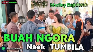 BUAH NGORA Naek TUMBILA // Bajidoran nico entertainment // live BBC
