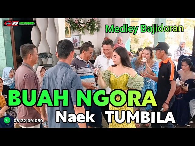 BUAH NGORA Naek TUMBILA // Bajidoran nico entertainment // live BBC class=